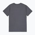 Vyriški marškinėliai Alpha Industries Hawaii vintage grey 8