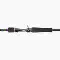 Daiwa Prorex XR BaitCast spiningas juodas 11339-210 3