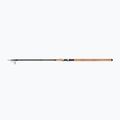 Daiwa Aqualite Tele Float plūdinė meškerė juoda 11403-390