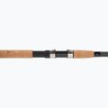 Daiwa Aqualite Tele Float plūdinė meškerė juoda 11403-390 3