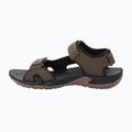 Jack Wolfskin Lakewood Cruise rudi vyriški sportiniai sandalai 4019011 12