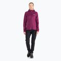 Jack Wolfskin moteriški Hydro Grid Fleece megztiniai rožinės spalvos 1709911 2