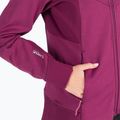 Jack Wolfskin moteriški Hydro Grid Fleece megztiniai rožinės spalvos 1709911 6