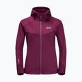 Jack Wolfskin moteriški Hydro Grid Fleece megztiniai rožinės spalvos 1709911 7