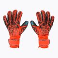Reusch Attrakt Freegel Gold Finger Support Vartininko pirštinės raudonos 5370130-3333
