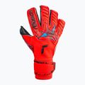 Reusch Attrakt Gold X Evolution Cut vartininko pirštinės raudonos 5370964-3333 4