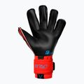 Reusch Attrakt Gold X Evolution Cut vartininko pirštinės raudonos 5370964-3333 5