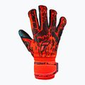 Reusch Attrakt Freegel Gold Evolution Cut vartininko pirštinės raudonos spalvos 5370135-3333 4