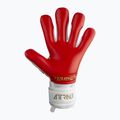 Reusch Attrakt Freegel Silver vartininko pirštinės baltos 5370235-1011 6