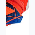Vartininko pirštinės Reusch Attrakt Solid hyper orange/electric blue 7