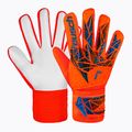 Vartininko pirštinės Reusch Attrakt Starter Solid bright red/future blue