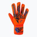 Vartininko pirštinės Reusch Attrakt Starter Solid bright red/future blue 2