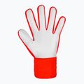 Vartininko pirštinės Reusch Attrakt Starter Solid bright red/future blue 3