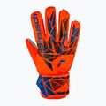 Vartininkų pirštinės Reusch Attrakt Starter Grip hyper orng/elec blue 2