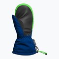 Vaikiškos slidinėjimo pirštinės Reusch Maxi R-Tex XT Mitten surf the web/green gecko 3