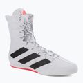 Bokso bateliai adidas Box Hog 3 baltos ir juodos spalvos GV9975