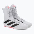 Bokso bateliai adidas Box Hog 3 baltos ir juodos spalvos GV9975 5