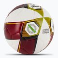 Futbolo kamuolys ERIMA Hybrid Training 2.0 red/lime dydis 4 2