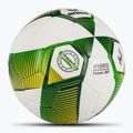 Futbolo kamuolys ERIMA Hybrid Futsal green/yellow dydis 4 2