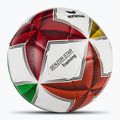 Futbolo kamuolys ERIMA Senzor Star Training various dydis 5 2