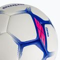 Rankinio kamuolys ERIMA Flash Training white/blue dydis 0 3