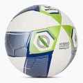 Futbolo kamuolys ERIMA Hybrid Training 2.0 size 5 metallic blue/silver/lime 2