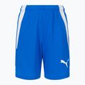 PUMA Teamliga vaikiški futbolo šortai tamsiai mėlyni 704931 02