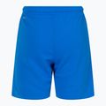 PUMA Teamrise vaikų futbolo šortai mėlyni 704943 02 2