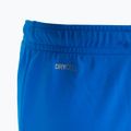 PUMA Teamrise vaikų futbolo šortai mėlyni 704943 02 4