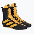 adidas Box Hog 3 bokso bateliai juodi FZ5307 5