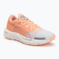 Moteriški bėgimo batai Puma Velocity Nitro 2 melon/white/grey