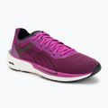 Moteriški bėgimo batai Puma Eternity Nitro deep orchid
