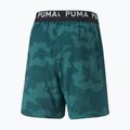 Vyriški treniruočių šortai PUMA Train Off Season AOP Woven 7" green 522359 24 2