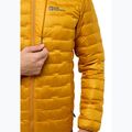 Vyriška pūsta striukė Jack Wolfskin Passamani Down Hoody safflower 4