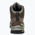 Vyriški žygio batai Jack Wolfskin Cyrox Texapore Mid cold coffee 6