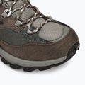 Vyriški žygio batai Jack Wolfskin Cyrox Texapore Mid cold coffee 7