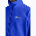 Vyriški Jack Wolfskin Taunus Fz vilnoniai džemperiai vibrant blue 5