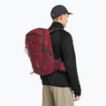 Turistinė kuprinė Jack Wolfskin Cyrox Shape 20 l deep ruby 5