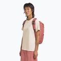Moteriška miesto kuprinė Jack Wolfskin Waimea 15 l mineral red 10