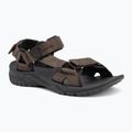 Vyriški sandalai Jack Wolfskin Lakewood Ride cold coffee