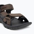 Vyriški sandalai Jack Wolfskin Lakewood Ride cold coffee 7