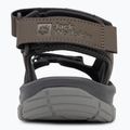 Vyriški sandalai Jack Wolfskin Lakewood Cruise cold coffee 6