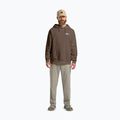 Vyriškas džemperis Jack Wolfskin Essential Hoodie cold coffee 2