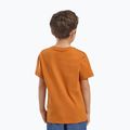 Vaikiški marškinėliai Jack Wolfskin Graphic Cotton T print soft amber 3