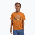 Vaikiški marškinėliai Jack Wolfskin Graphic Cotton T print soft amber 5