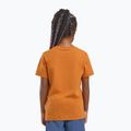 Vaikiški marškinėliai Jack Wolfskin Graphic Cotton T print soft amber 6
