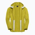 Vyriškas žygio džemperis Jack Wolfskin Peak District Hooded Full Zip chartreuse 9