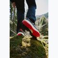 Vyriški turistiniai batai Jack Wolfskin Wild Hike Texapore Low obsidian moss 9