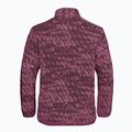 Moteriškas žygio džemperis Jack Wolfskin Big Sky Half Zip raisin 8