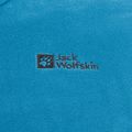 Vyriškas žygio džemperis Jack Wolfskin Taunus Hz aurora blue 9